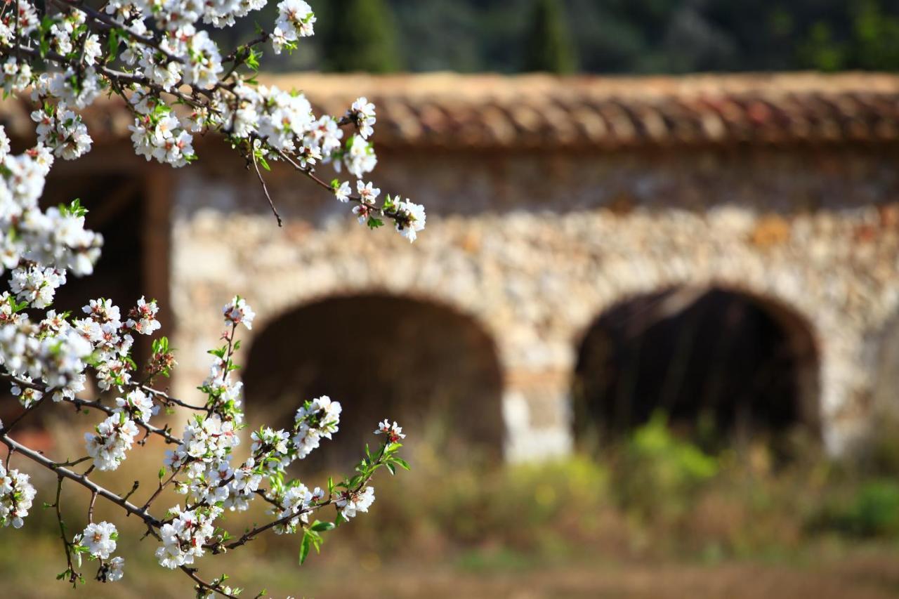 Alcalalí Benestar In Jalon Valley מראה חיצוני תמונה